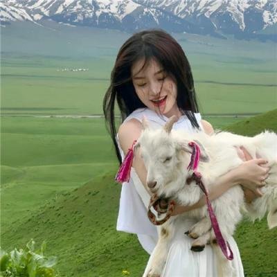 探险活宝第三季